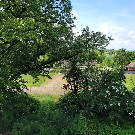 Rosenhof